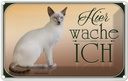 Blechschild 12x18 cm Katze Balinesenkatze hier wache ich Tier Haustier