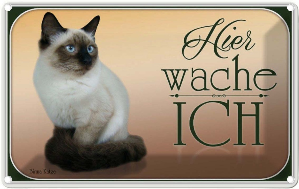 [LA-113747-1812] Blechschild 12x18 cm Katze Birma hier wache ich Tier Haustier