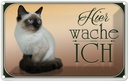 Blechschild 12x18 cm Katze Birma hier wache ich Tier Haustier