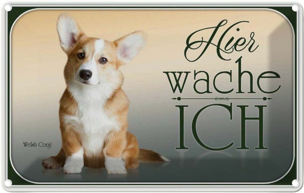 [LA-113750-1812] Blechschild 12x18 cm Hund Chihuahua hier wache ich Tier Haustier