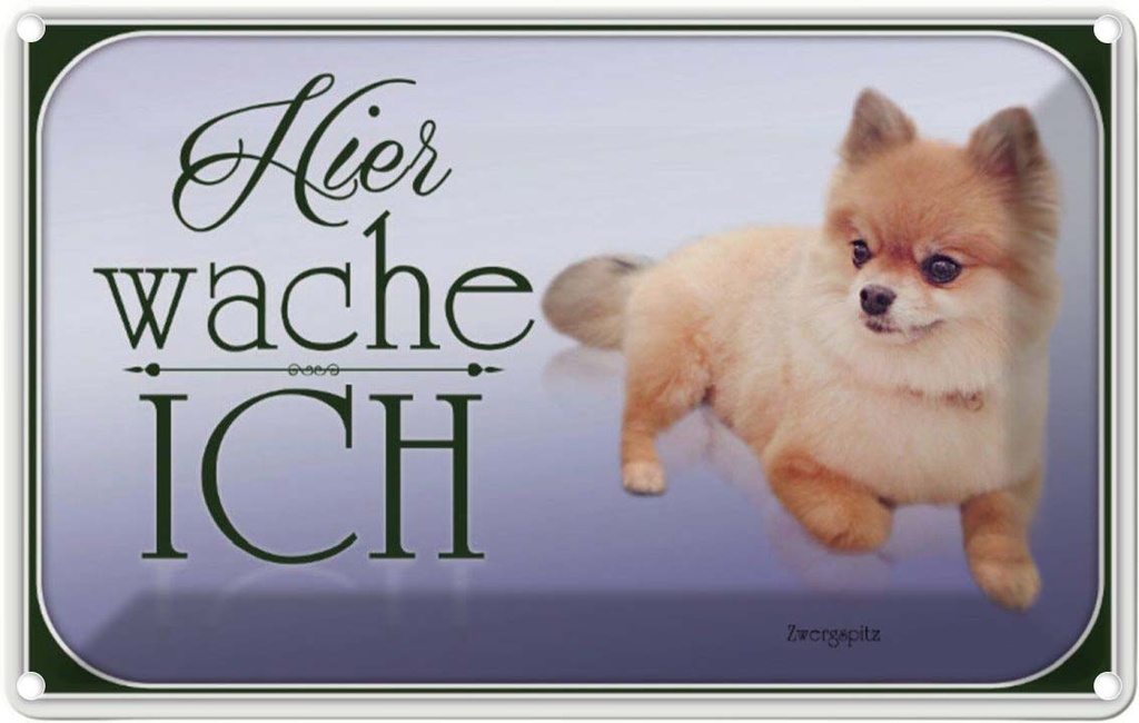 [LA-113757-1812] Blechschild 12x18 cm Hund Zwergspitz hier wache ich Tier Haustier