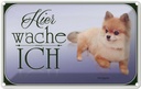 Blechschild 12x18 cm Hund Zwergspitz hier wache ich Tier Haustier