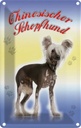 Blechschild 18x12 cm Hund Chinesischer Schopfhund Tier Haustier