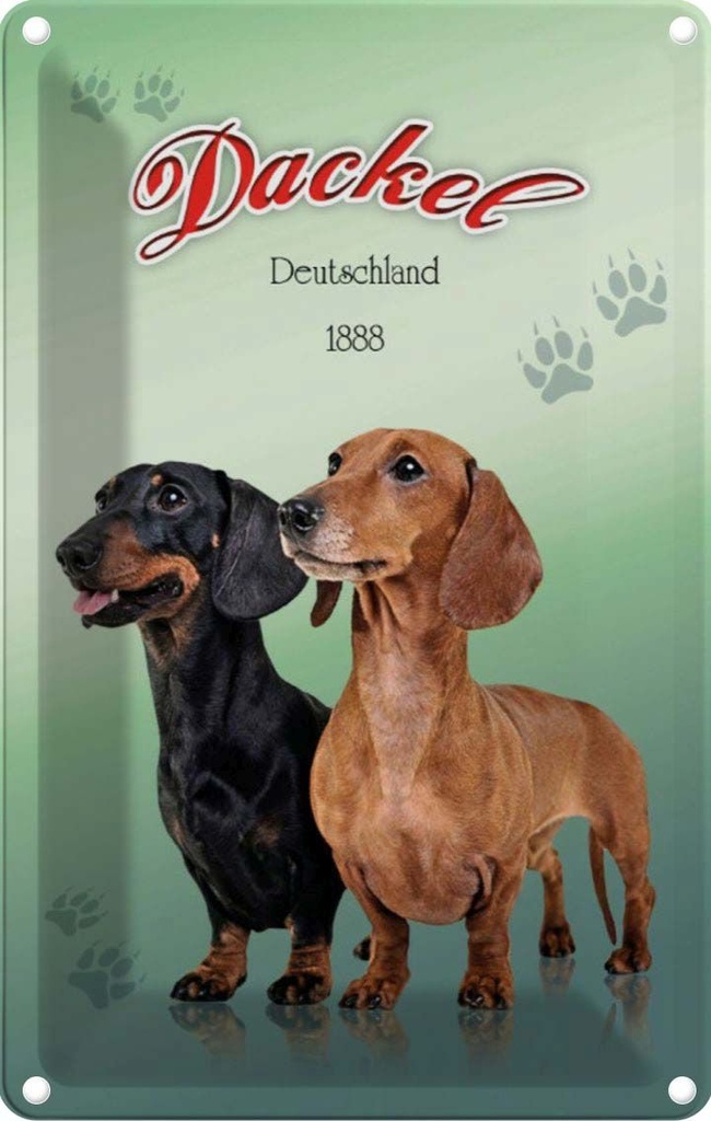 [LA-113760-1812] Blechschild 18x12 cm Hund Dackel Deutschland 1888 Tier Haustier