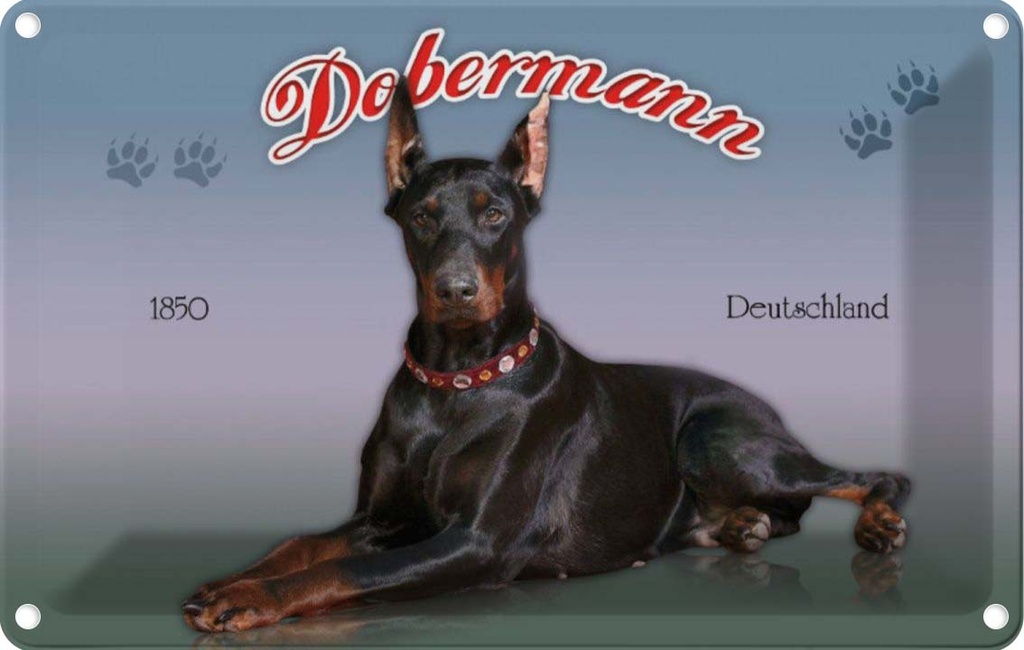 [LA-113764-1812] Blechschild 12x18 cm Hund Dobermann 1850 Deutschland Tier Haustier