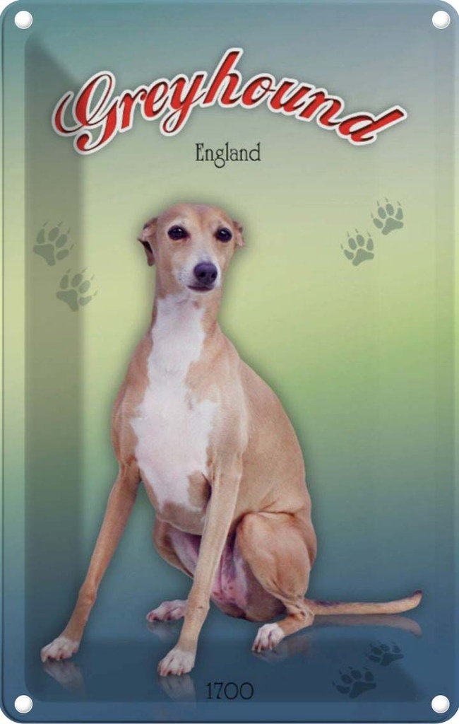 [LA-113766-1812] Blechschild 18x12 cm Hund Greyhound England Tier Haustier