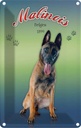 Blechschild 18x12 cm Hund Malinois Belgien 1899 Tier Haustier