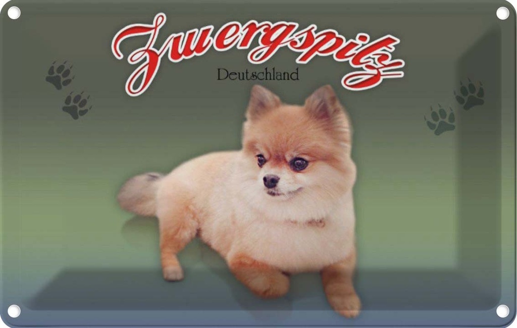 [LA-113774-1812] Blechschild 12x18 cm Hund Zwergspitz Deutschland Tier Haustier