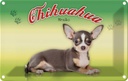 Blechschild 12x18 cm Hund Chihuahua Mexiko Tier Haustier
