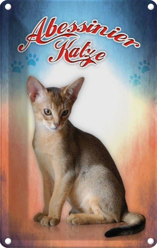 [LA-113777-1812] Blechschild 18x12 cm Katze Abessinier Tier Haustier