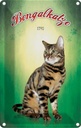 Blechschild 18x12 cm Katze Bengalkatze 1792 Tier Haustier