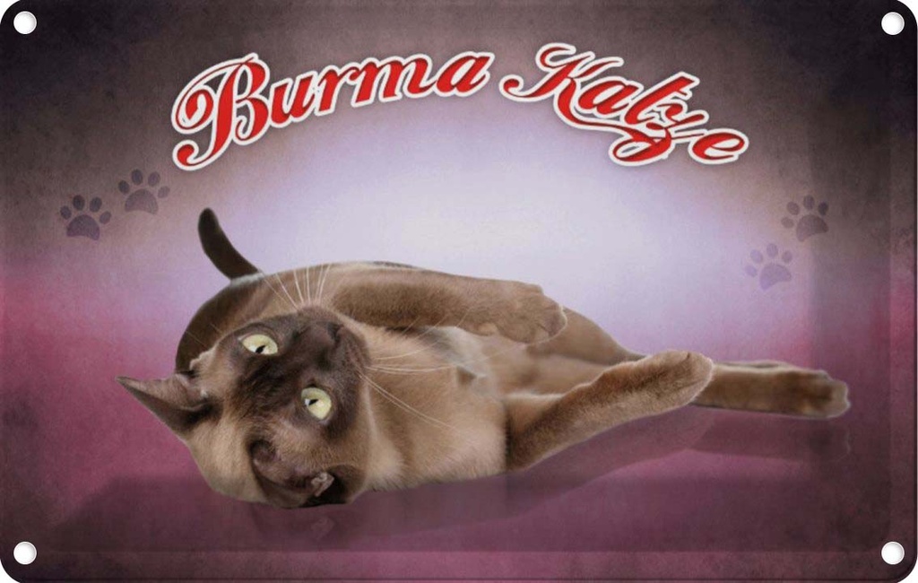 [LA-113783-1812] Blechschild 12x18 cm Katze Burma Tier Haustier