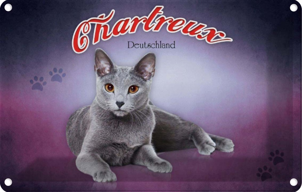 [LA-113784-1812] Blechschild 12x18 cm Katze Chartreux Deutschland Tier Haustier