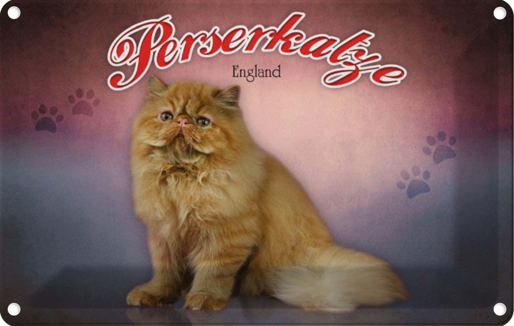 [LA-113787-1812] Blechschild 12x18 cm Katze Perserkatze England Tier Haustier