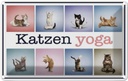 Blechschild 12x18 cm Katze Katzen Yoga Tier Haustier