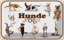 Blechschild 12x18 cm Katze Hunde Yoga Tier Haustier