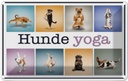 Blechschild 12x18 cm Katze Hunde Yoga Tier Haustier