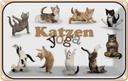 Blechschild 12x18 cm Katze Katzen Yoga Tier Haustier