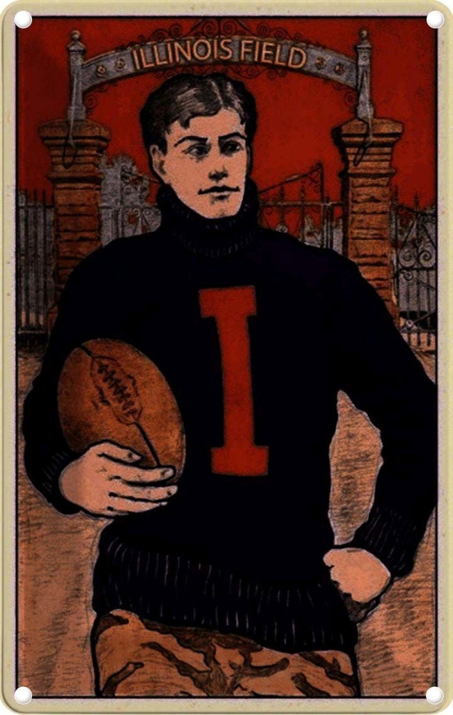 [LA-113894-1812] Blechschild 18x12 cm American Football Illinois field