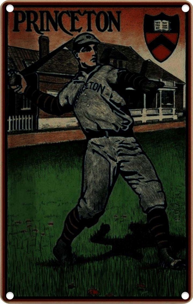 [LA-113896-1812] Blechschild 18x12 cm Princeton Baseball Sport Hobby
