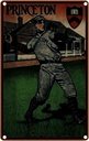 Blechschild 18x12 cm Princeton Baseball Sport Hobby