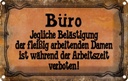 Blechschild 12x18 cm Büro Belästigung der Damen Beruf Arbeit