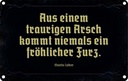 Blechschild 12x18 cm aus einem traurigen Arsch kommt Spruch Zitat