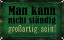 Blechschild 12x18 cm nicht ständig großartig sein Dekoration Spruch Zitat