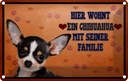 Blechschild 12x18 cm Hund hier wohnt ein Chihuahua Tier Haustier