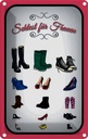 Blechschild 18x12 cm Schuhe Arten Sehtest für Frauen Spruch Zitat
