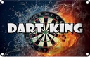 Blechschild 12x18 cm Darts Dart King Sport Hobby