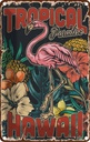 Blechschild 18x12 cm Hawaii Tropical Paradise Alkohol Abenteuer Reisen