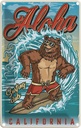 Blechschild 18x12 cm Surfing Aloha California Sommer Sport Amerika USA