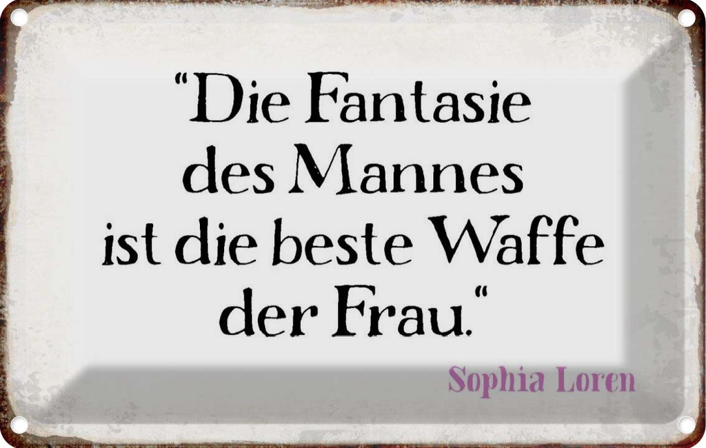 [LA-113290-2030] Blechschild 20x30 cm Fantasie des Mannes beste Waffe Spruch Zitat