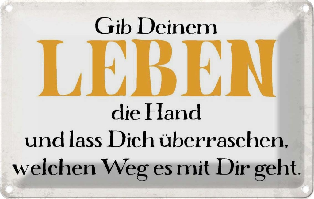 [LA-113436-2030] Blechschild 20x30 cm gib deinem Leben die Hand Spruch Zitat