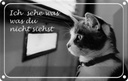 Blechschild 20x30 cm Katze ich sehe was du nicht siehst Tier Haustier