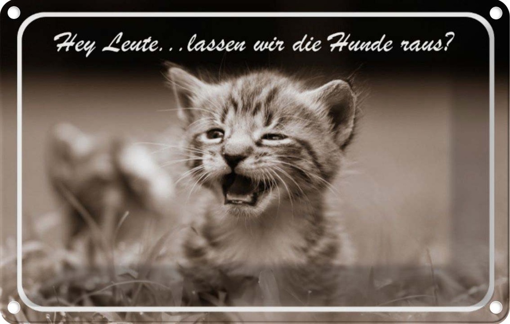 [LA-113553-2030] Blechschild 20x30 cm Katze Hey lassen wir die Hunde raus? Tier Haustier