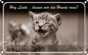 Blechschild 20x30 cm Katze Hey lassen wir die Hunde raus? Tier Haustier