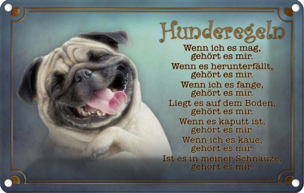 [LA-113742-2030] Blechschild 20x30 cm Hunderegeln wenn ich es mag Tier Haustier Hund