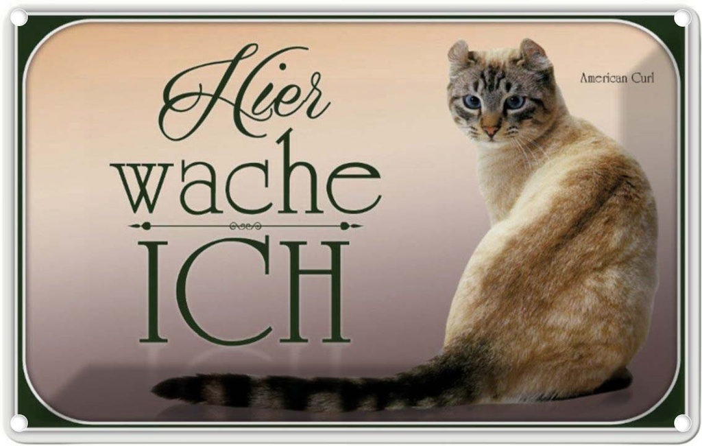 [LA-113744-2030] Blechschild 20x30 cm Katze American Curl hier wache ich Tier Haustier