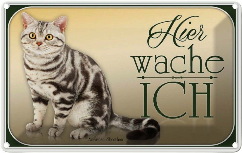 [LA-113745-2030] Blechschild 20x30 cm Katze American Shorthair hier wache Tier Haustier