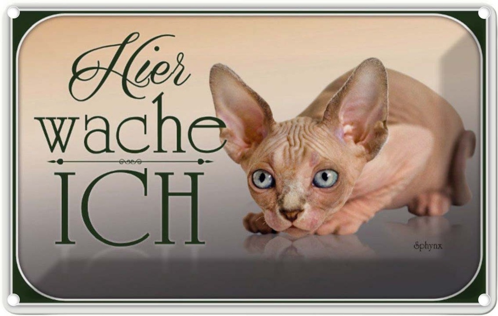 [LA-113748-2030] Blechschild 20x30 cm Katze Sphynx hier wache ich Tier Haustier