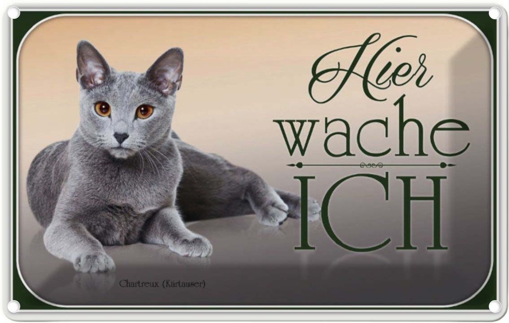 [LA-113749-2030] Blechschild 20x30 cm Katze Chartreux hier wache ich Tier Haustier