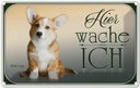 Blechschild 20x30 cm Hund Chihuahua hier wache ich Tier Haustier