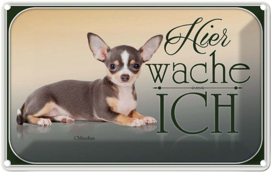 [LA-113751-2030] Blechschild 20x30 cm Hund Welsh Corgi hier wache ich Tier Haustier