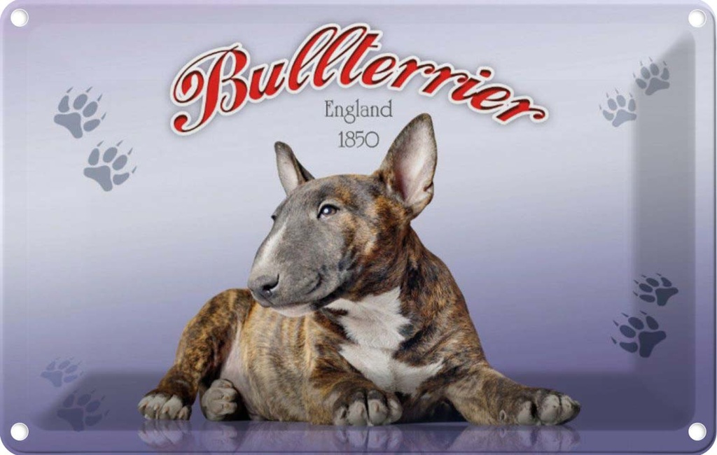 [LA-113758-2030] Blechschild 20x30 cm Hund Bullterrier England 1850 Tier Haustier