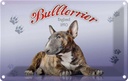 Blechschild 20x30 cm Hund Bullterrier England 1850 Tier Haustier