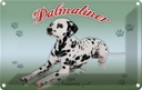 Blechschild 20x30 cm Hund Dalmatiner 1769 Frankreich Tier Haustier