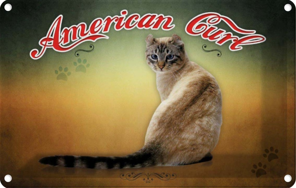 [LA-113776-2030] Blechschild 20x30 cm Katze American Curl Tier Haustier