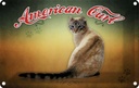 Blechschild 20x30 cm Katze American Curl Tier Haustier